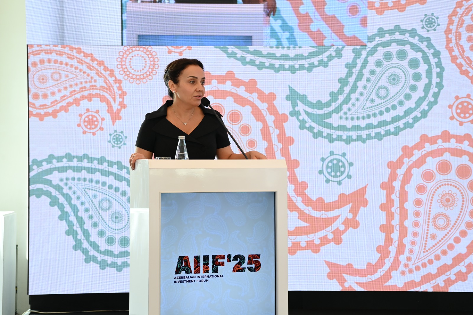 First Azerbaijan International Investment Forum continued with panel sessions